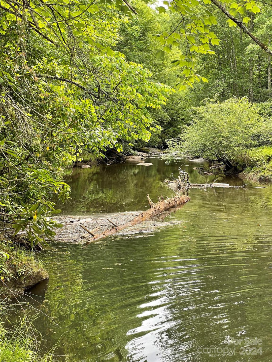 25 Rainbow Trout Drive #25 - Photo 14