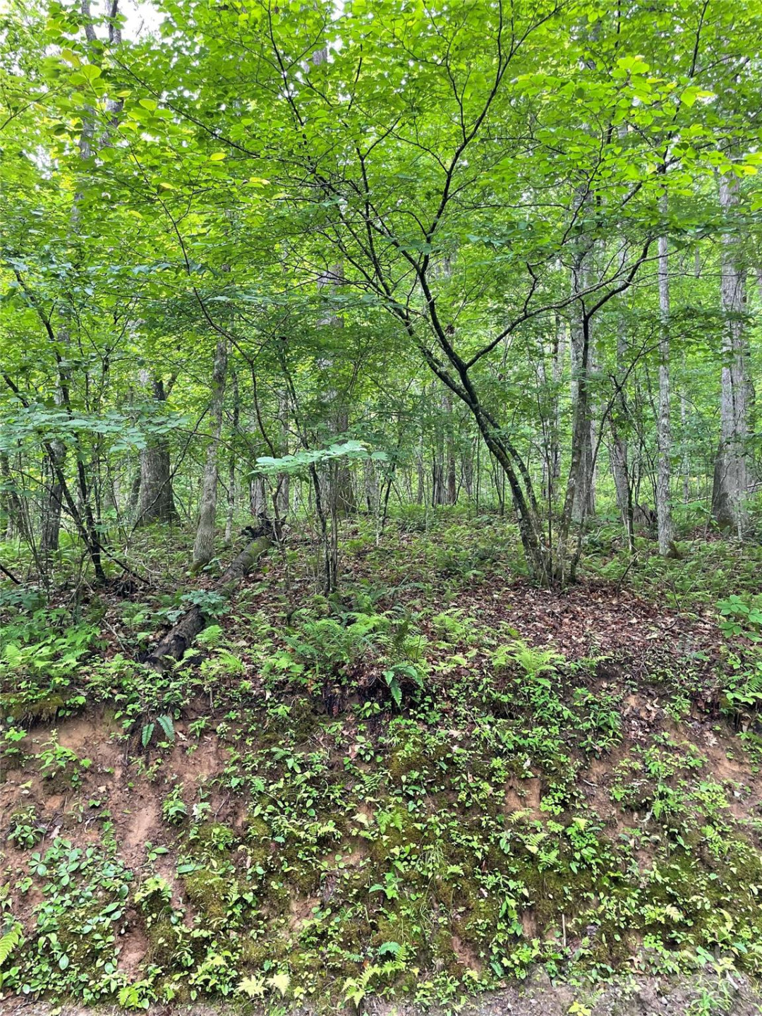 25 Rainbow Trout Drive #25 - Photo 4