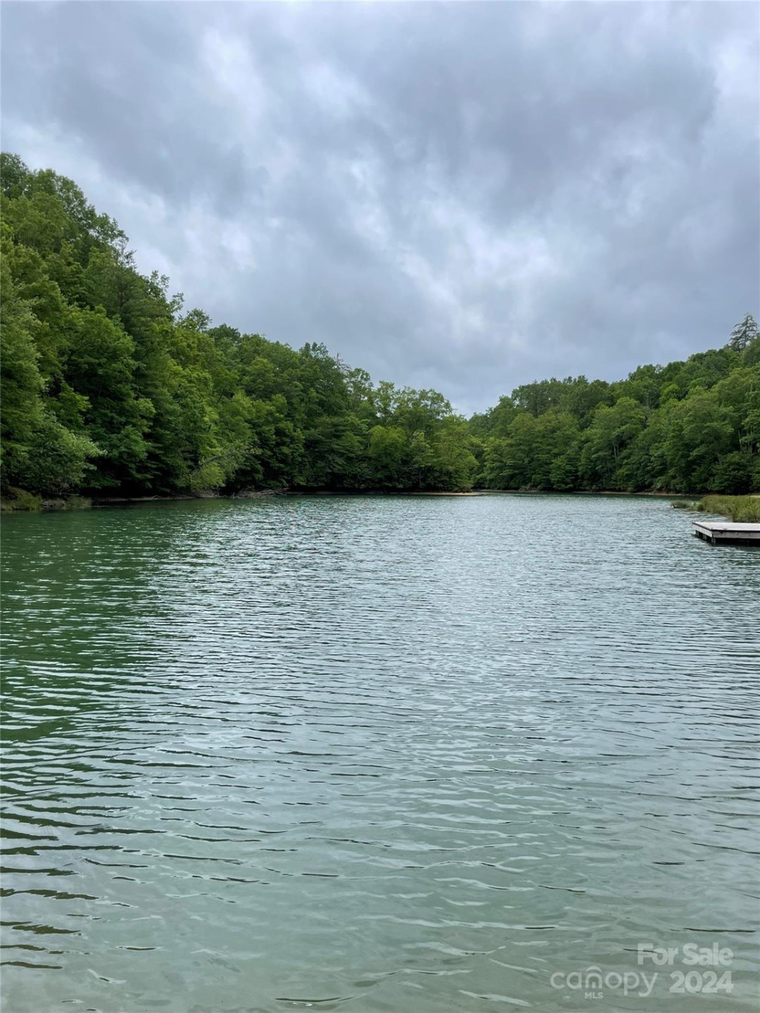 25 Rainbow Trout Drive #25 - Photo 8