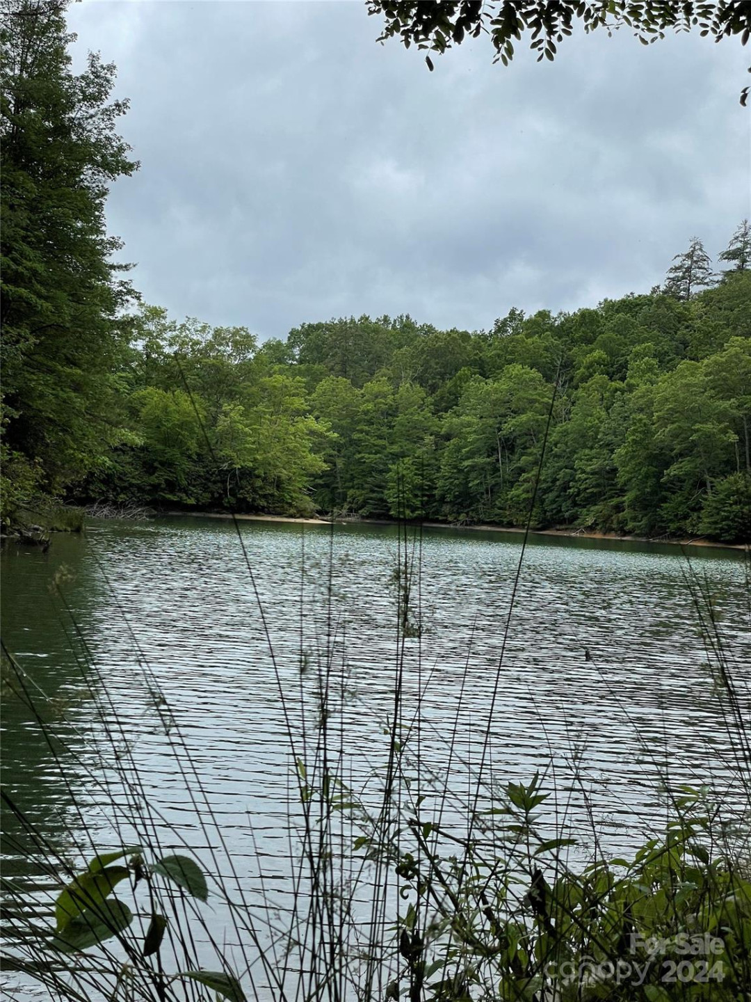 25 Rainbow Trout Drive #25 - Photo 9