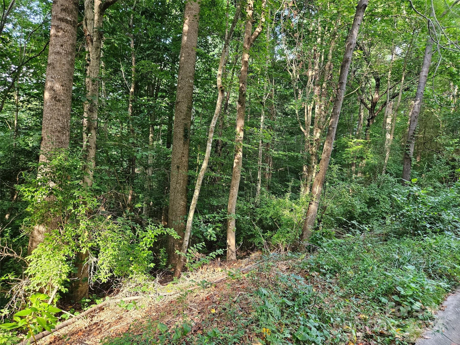 00 General Griffith Circle #31 - Photo 2