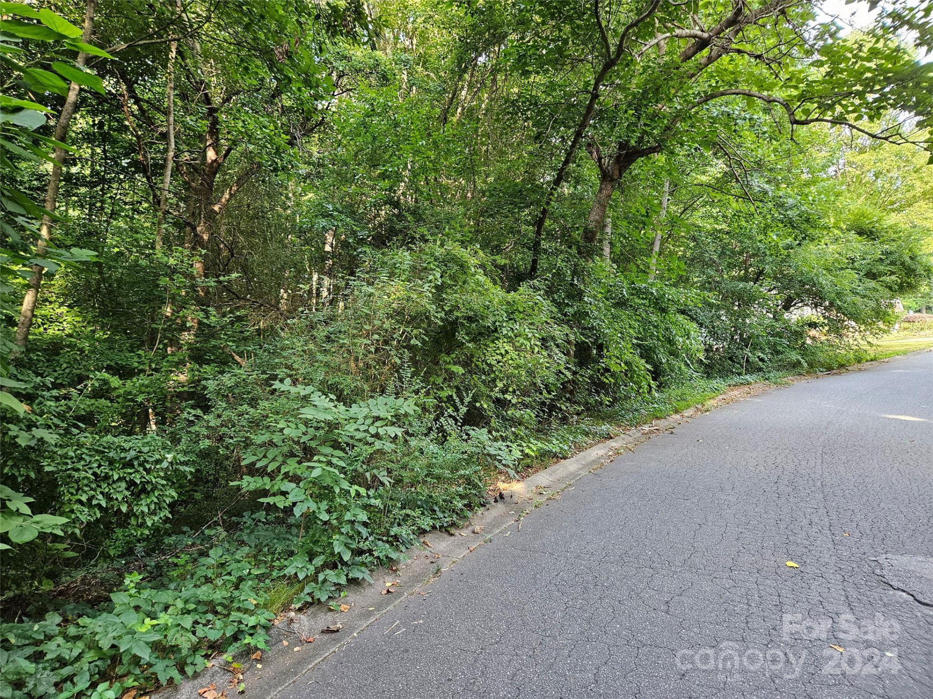 00 General Griffith Circle #31 - Photo 3