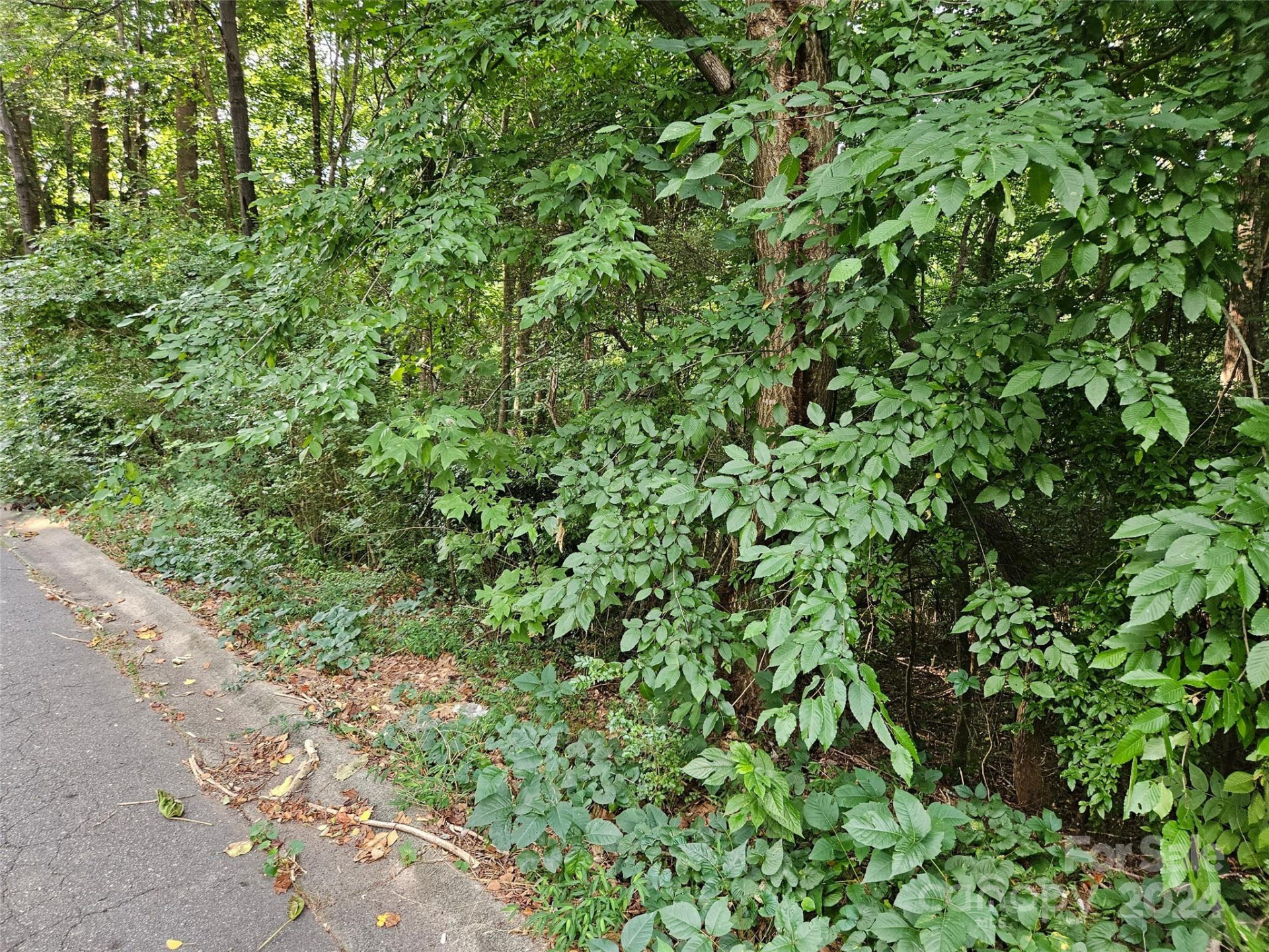 00 General Griffith Circle #31 - Photo 4