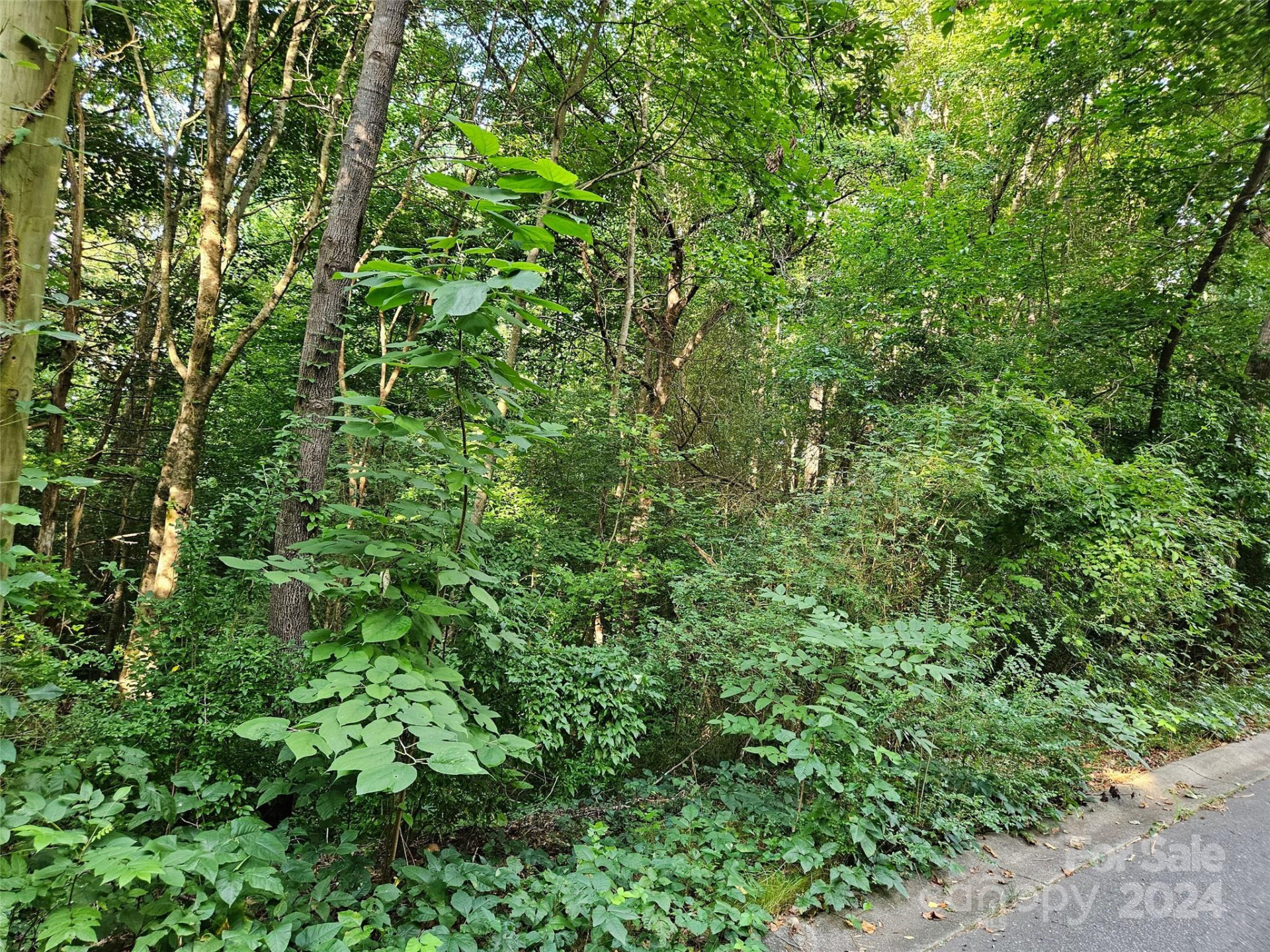 00 General Griffith Circle #31 - Photo 6