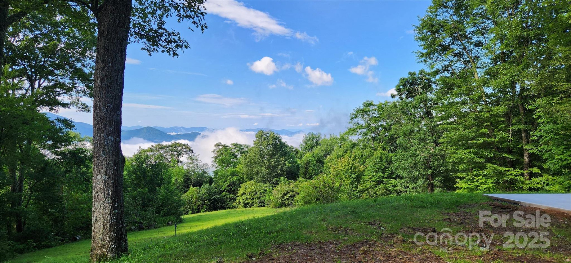 2222 Greenspire Drive - Photo 40