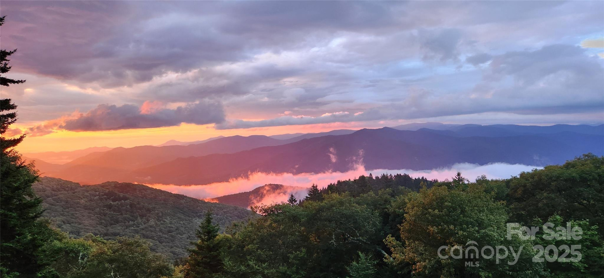 2222 Greenspire Drive - Photo 41