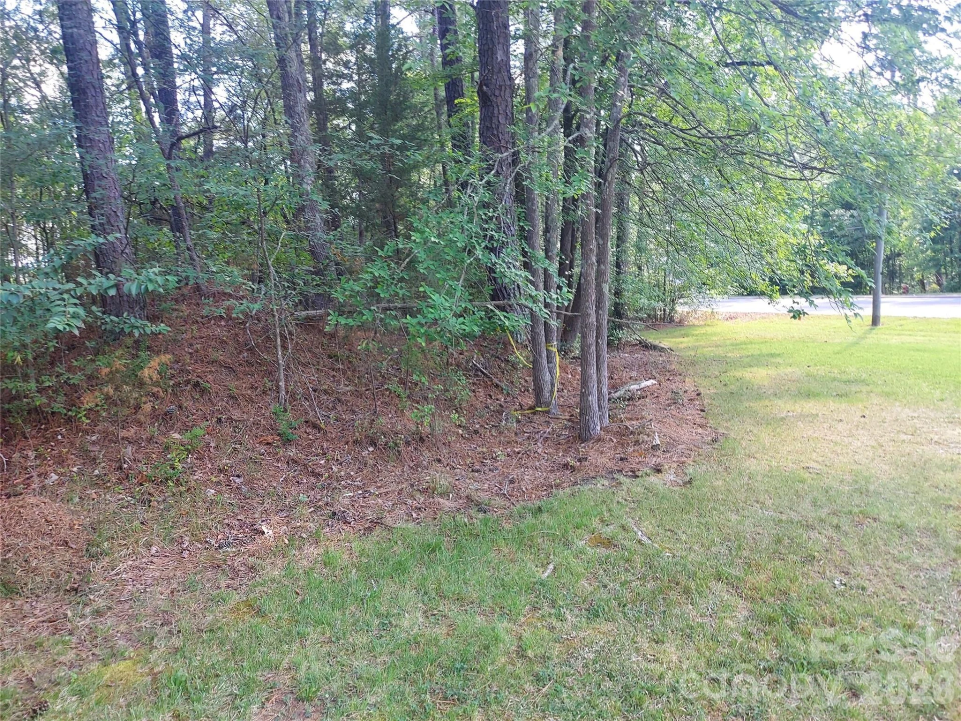 500 Julius Chambers Avenue - Photo 22