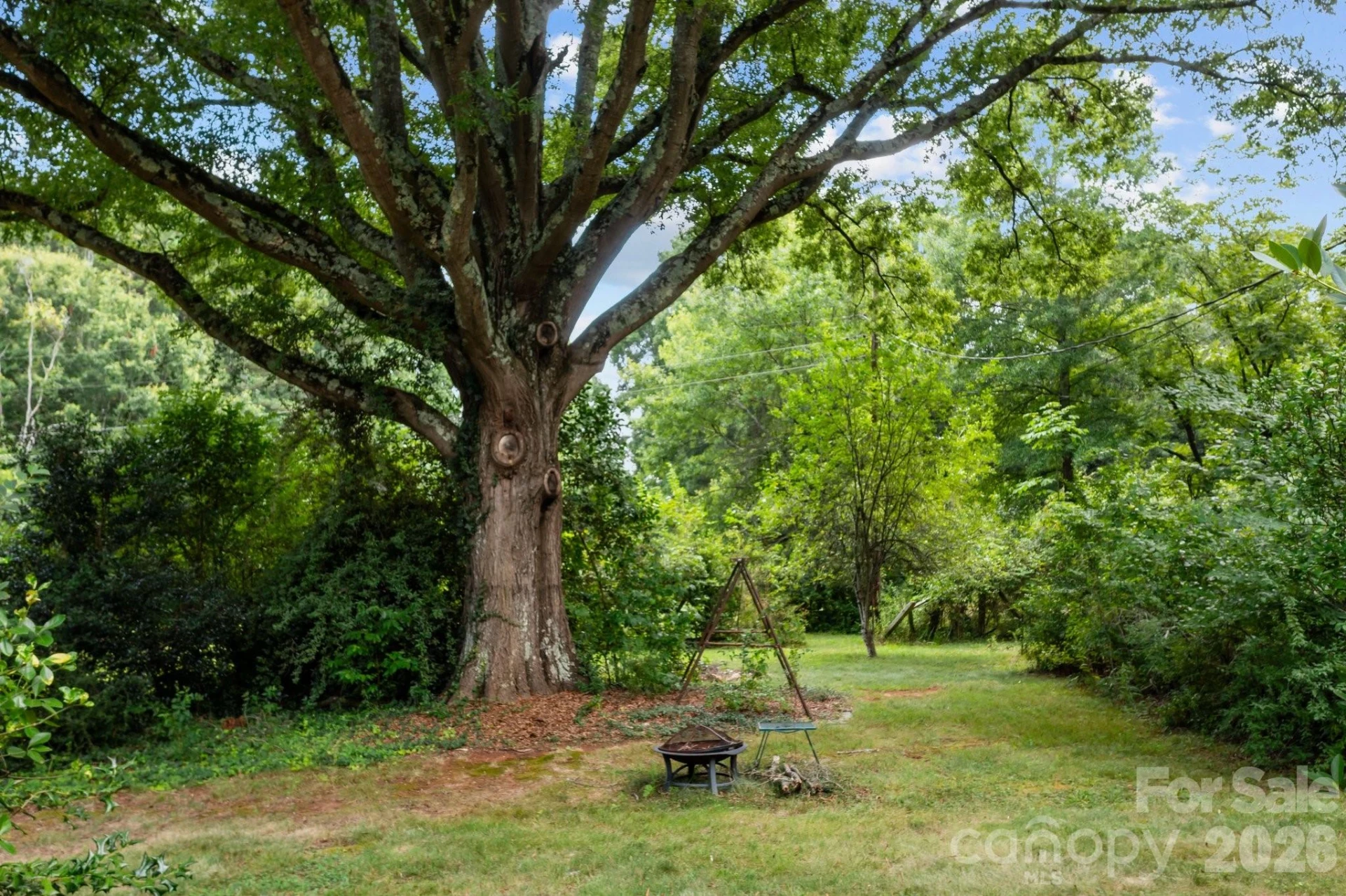 866 Concord Road - Photo 22