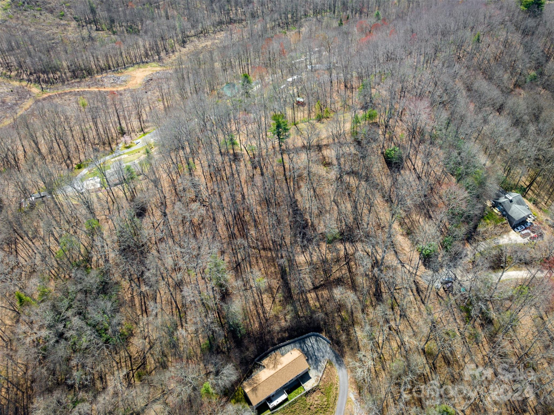 0000 MINERVA Drive #Lot 18 - Photo 3