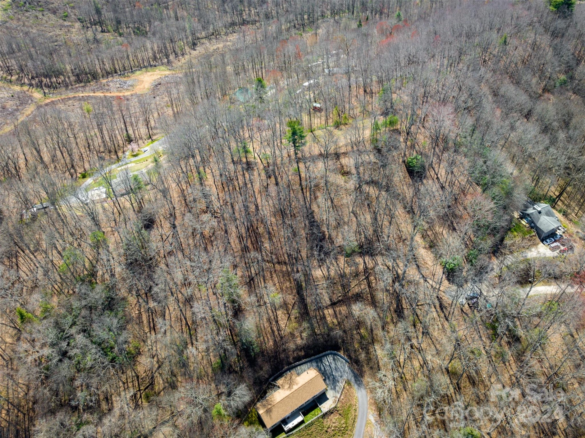 0000 MINERVA Drive #Lot 18 - Photo 3