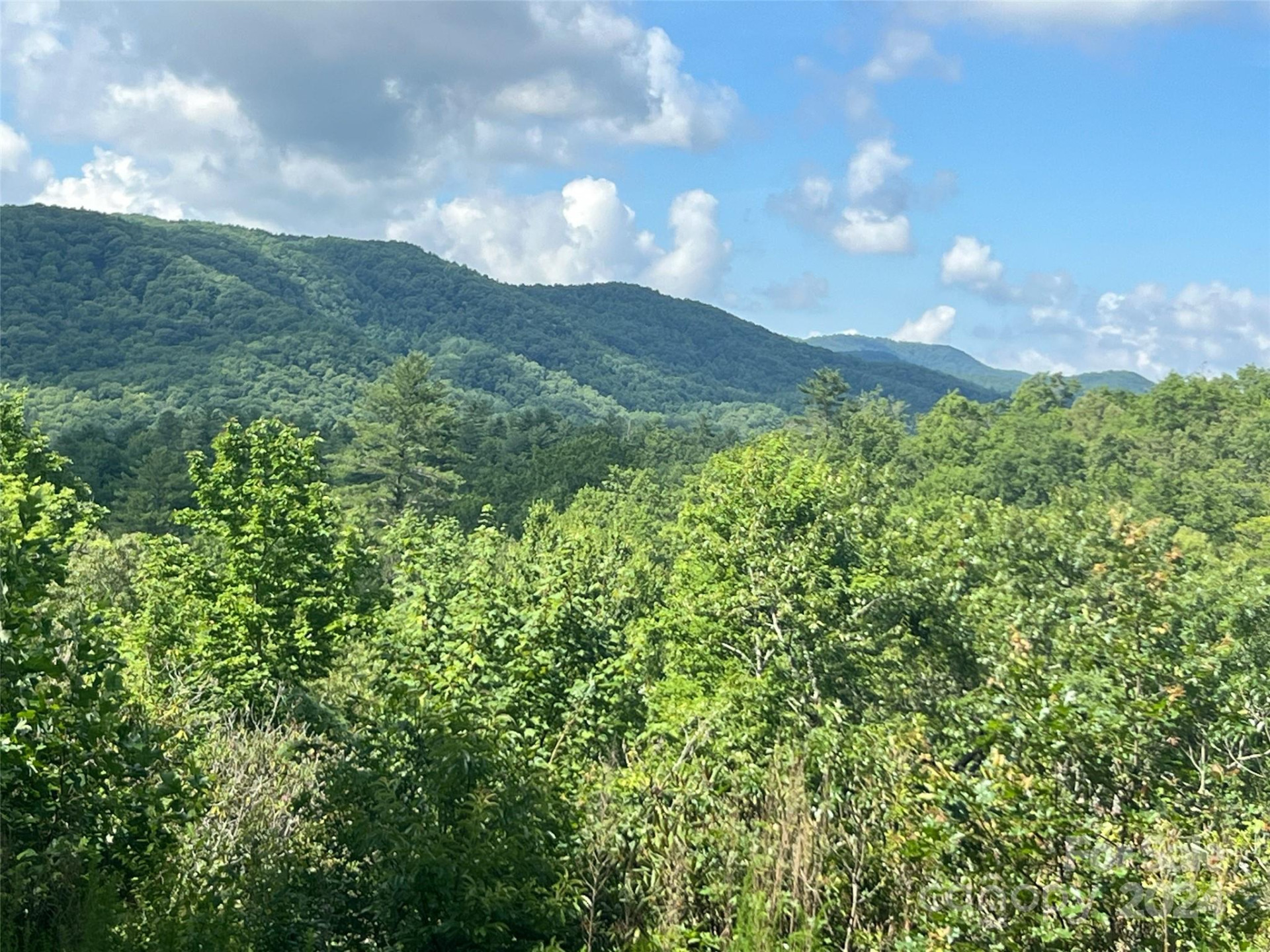 667 Laurel Thicket Lane - Photo 2