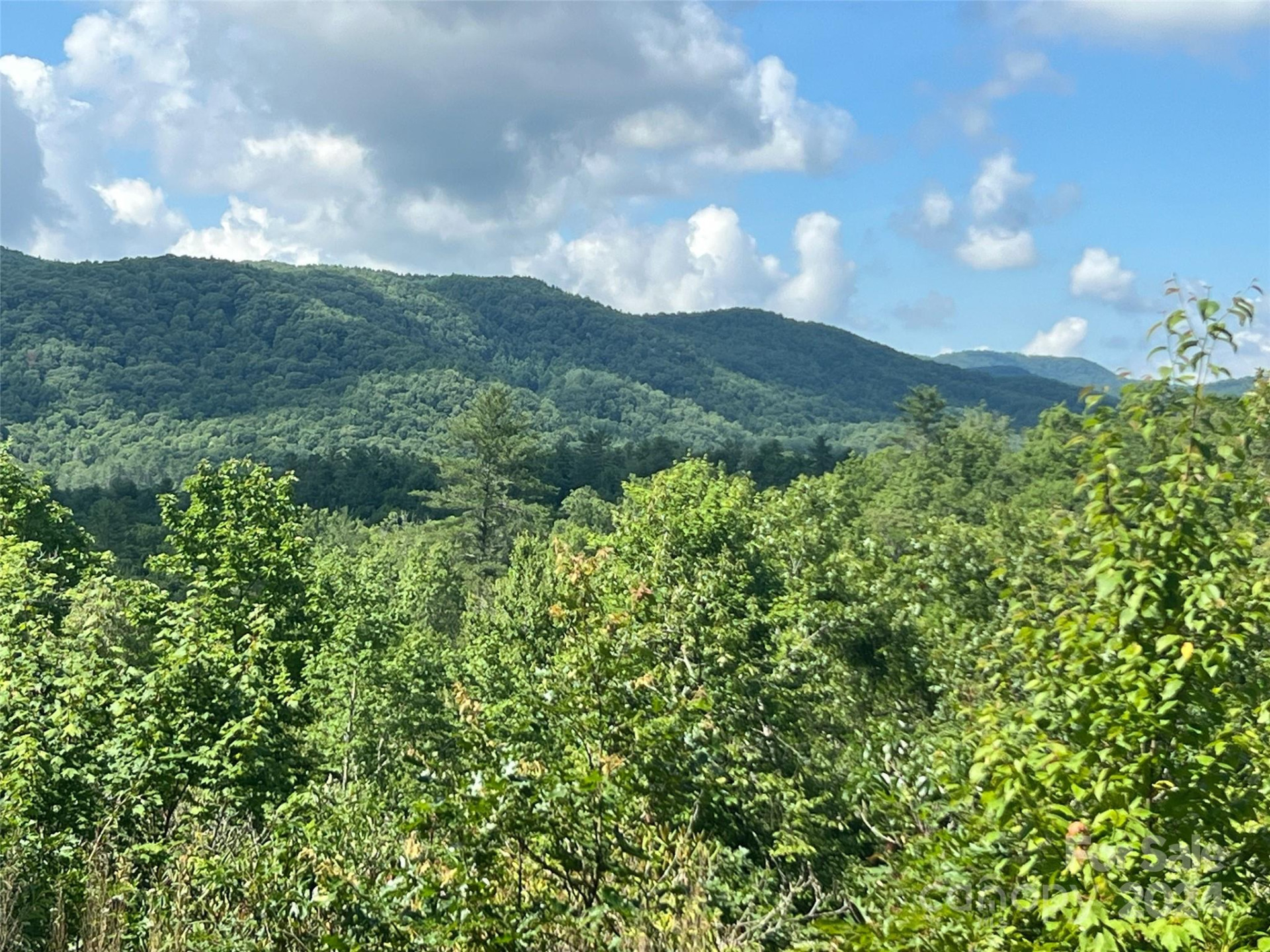 667 Laurel Thicket Lane - Photo 11