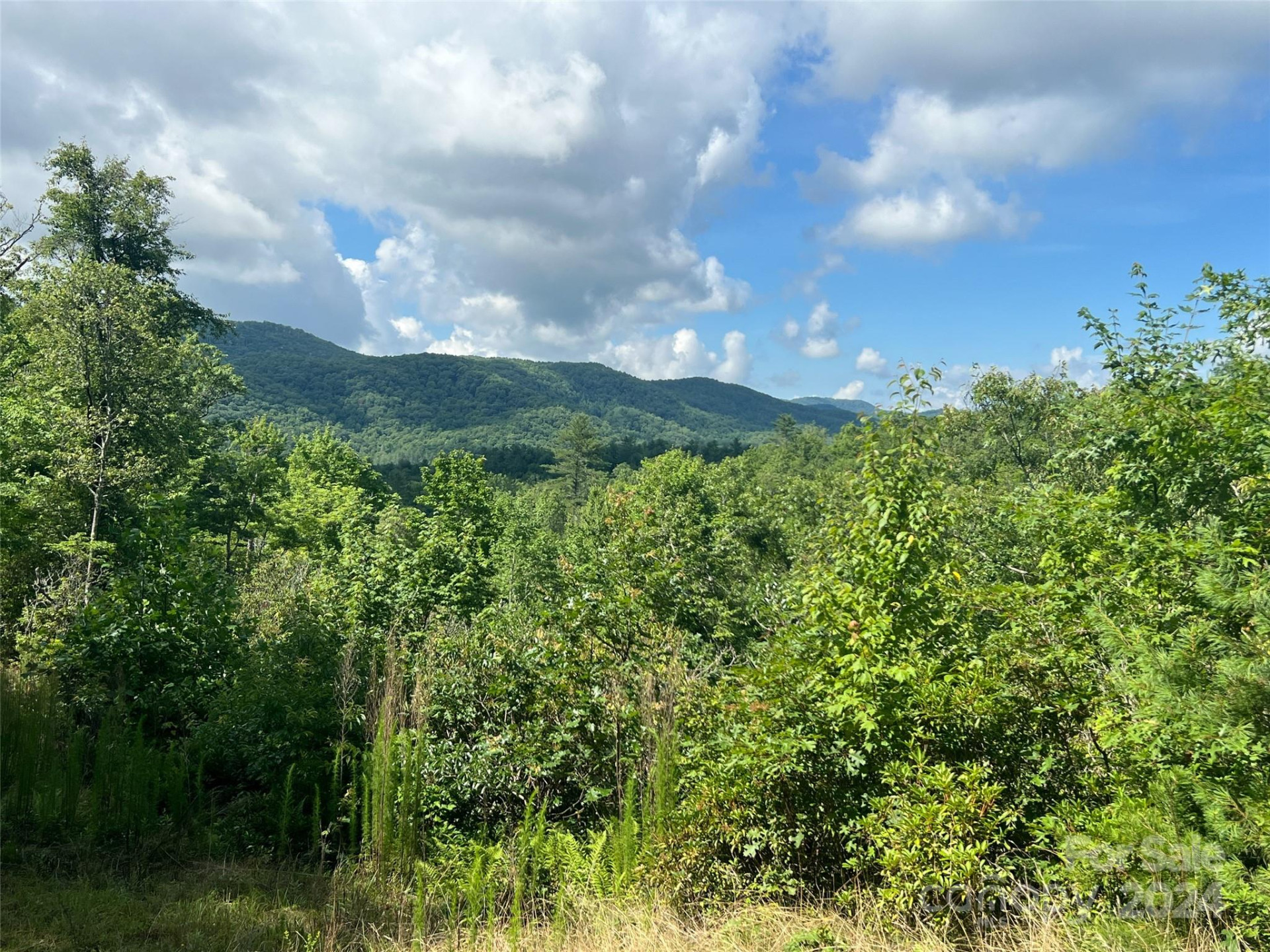 667 Laurel Thicket Lane - Photo 12