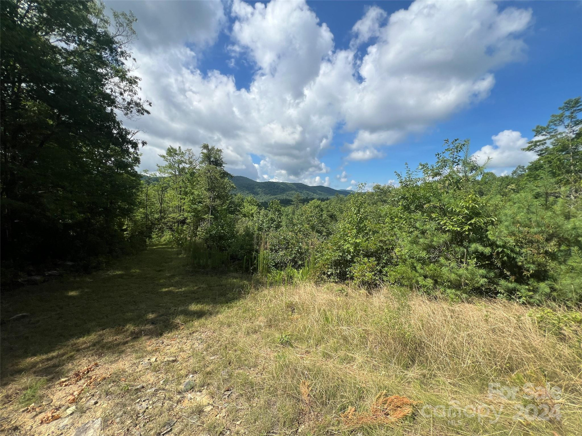 667 Laurel Thicket Lane - Photo 13