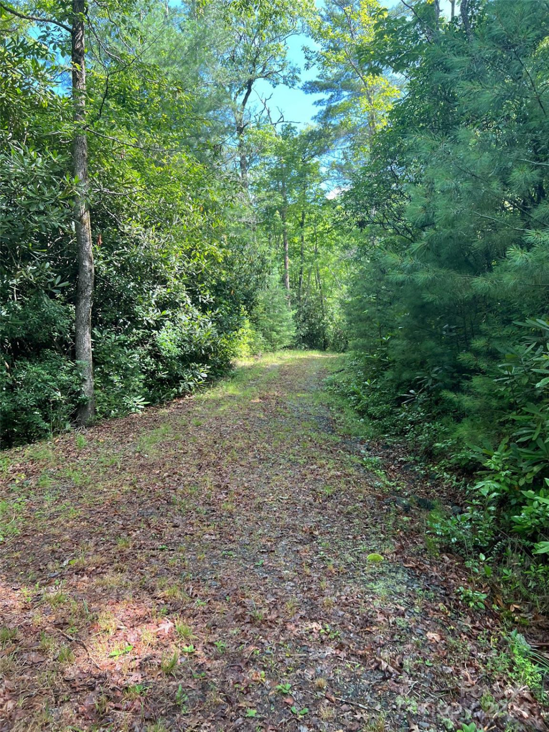 667 Laurel Thicket Lane - Photo 14