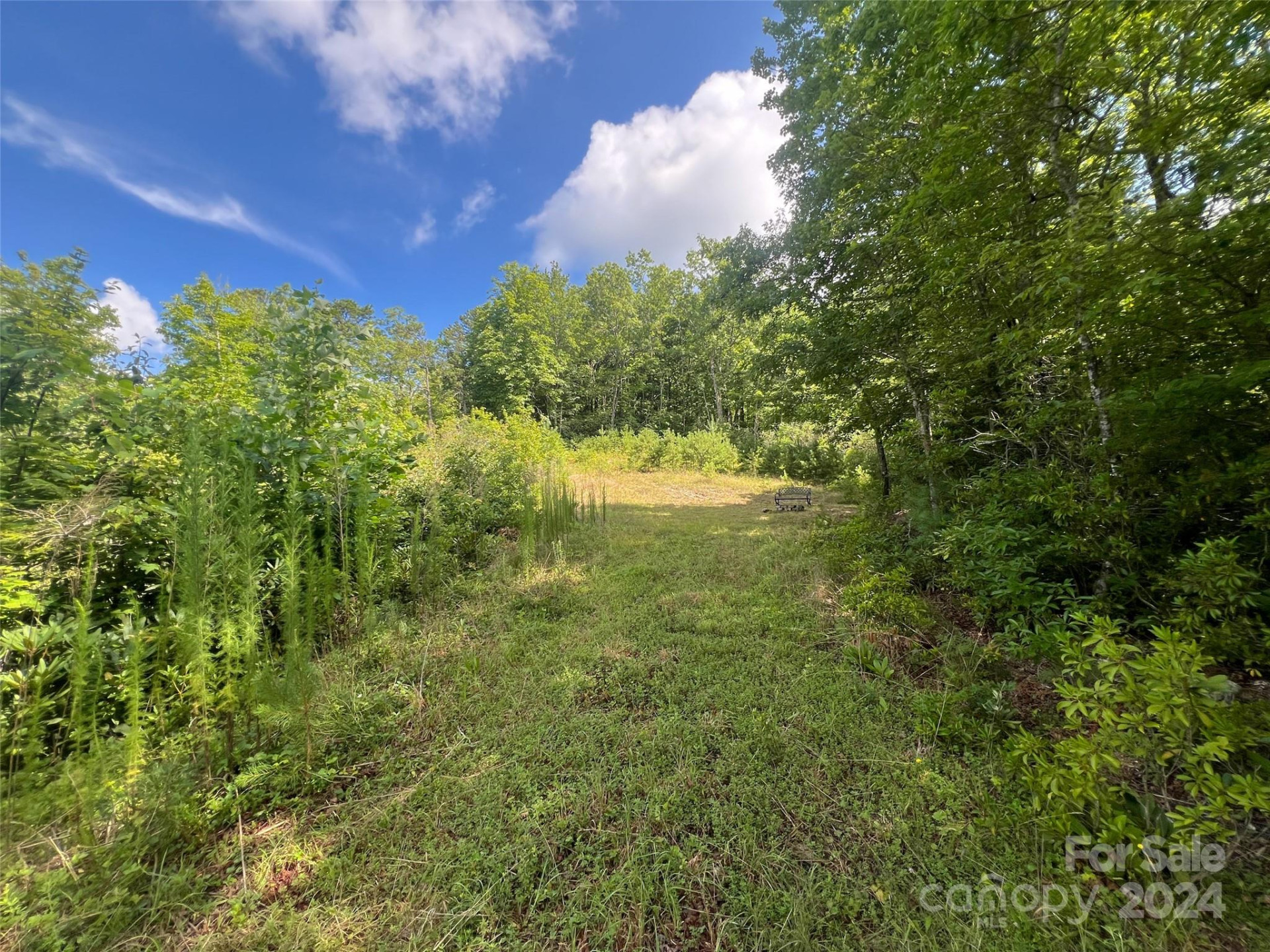 667 Laurel Thicket Lane - Photo 16