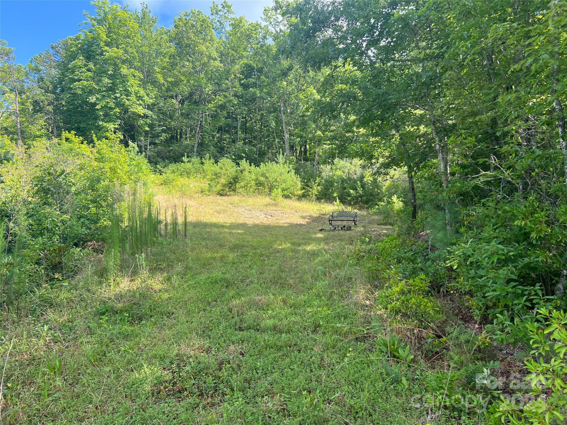 667 Laurel Thicket Lane - Photo 17