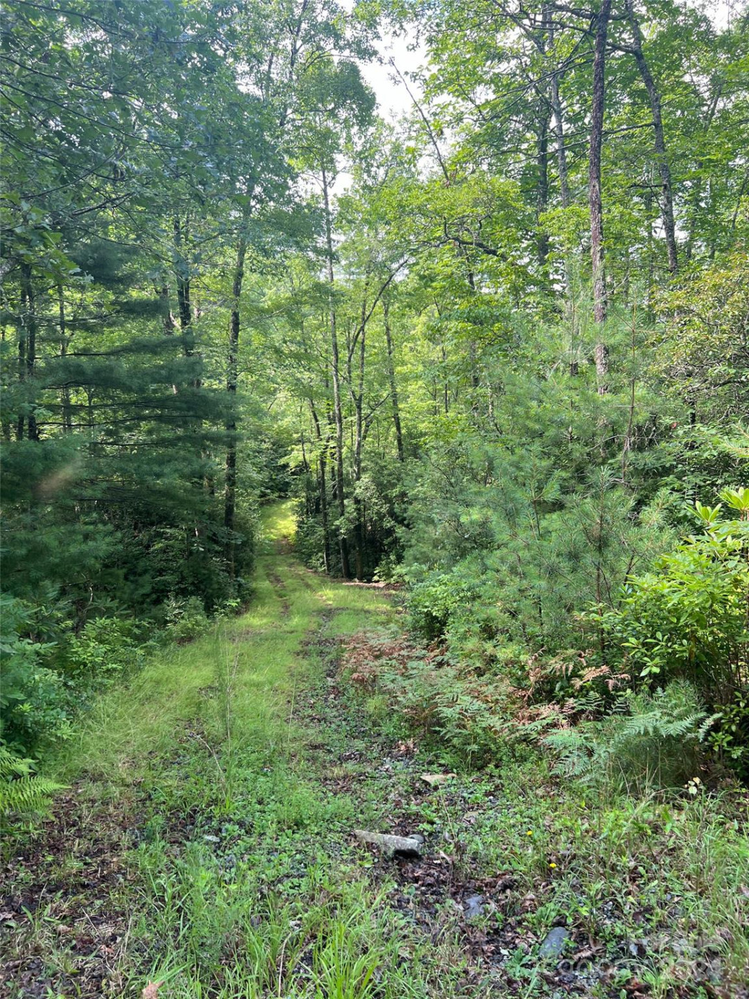 667 Laurel Thicket Lane - Photo 19