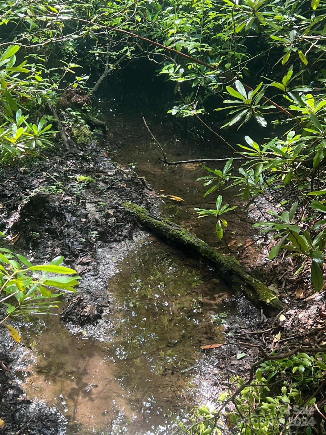 667 Laurel Thicket Lane - Photo 20