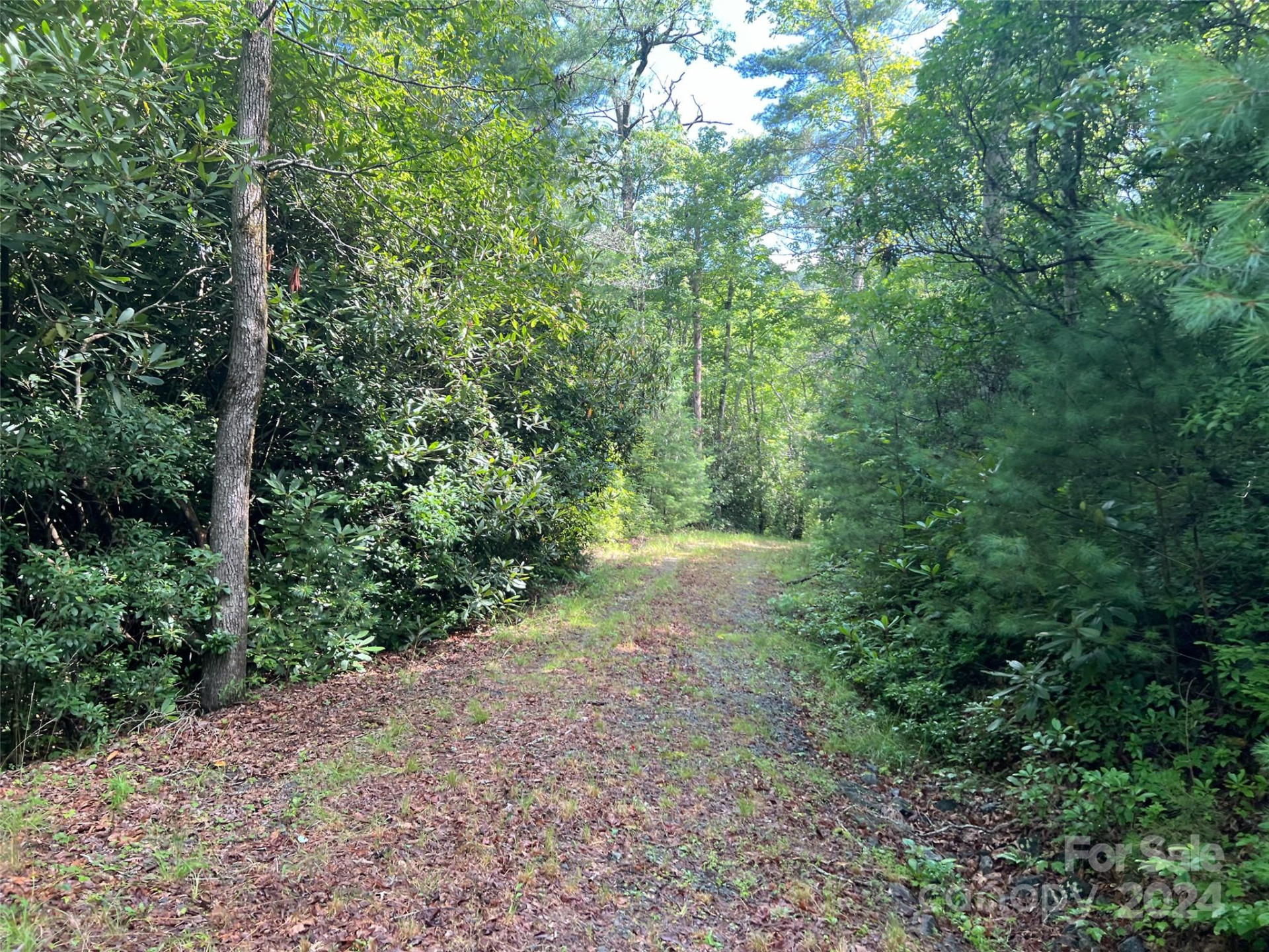 667 Laurel Thicket Lane - Photo 21