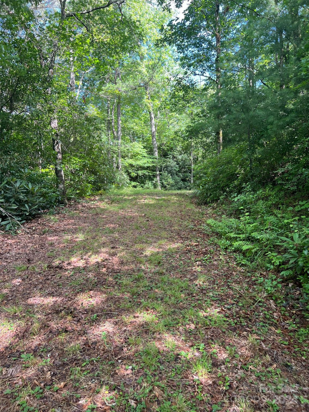 667 Laurel Thicket Lane - Photo 22