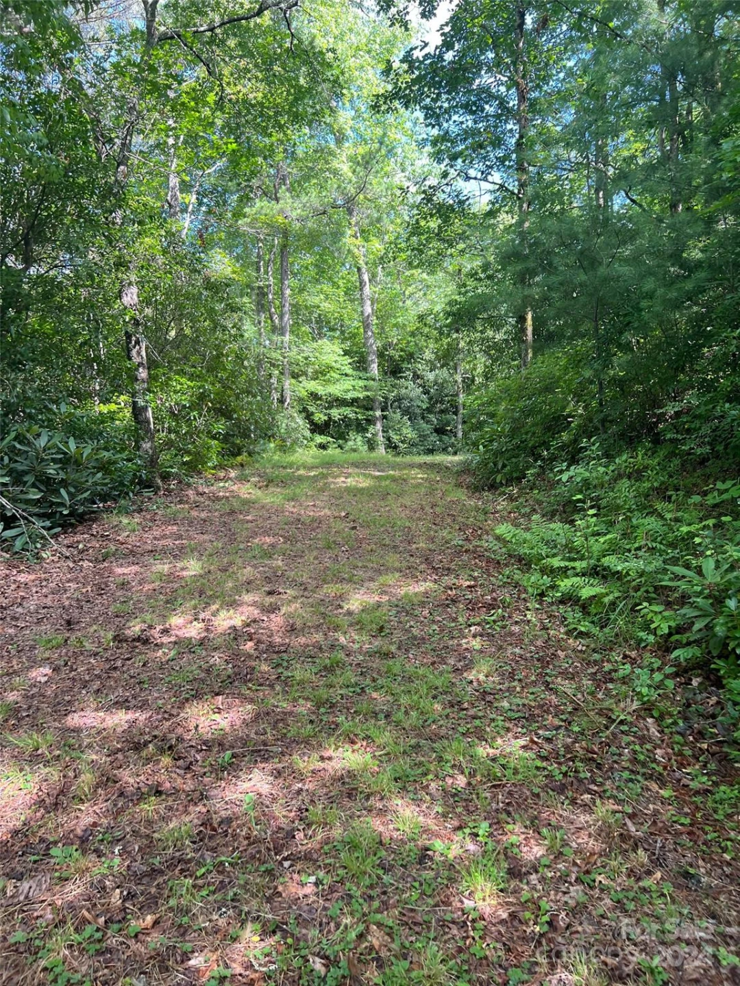 667 Laurel Thicket Lane - Photo 22