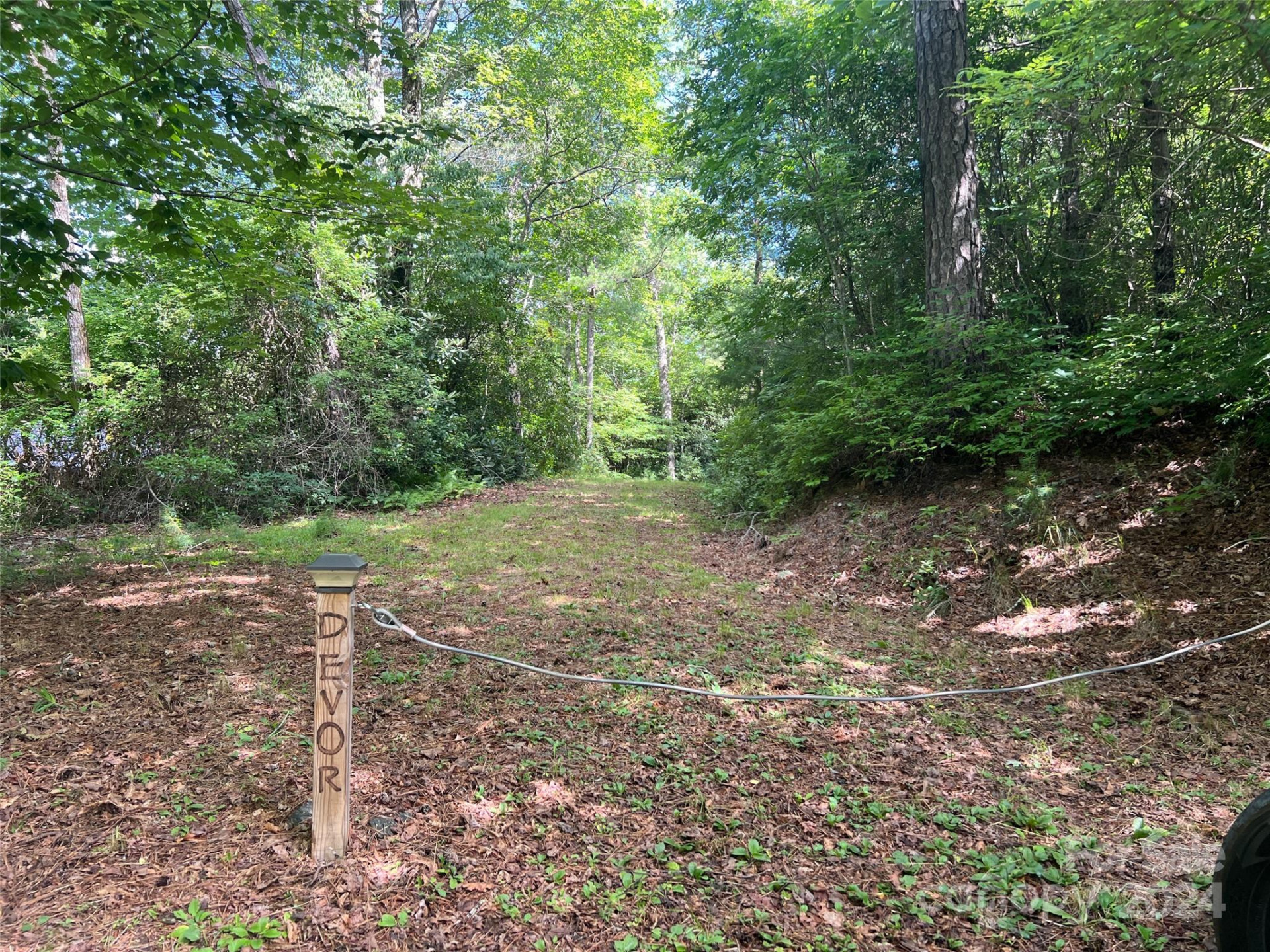 667 Laurel Thicket Lane - Photo 23