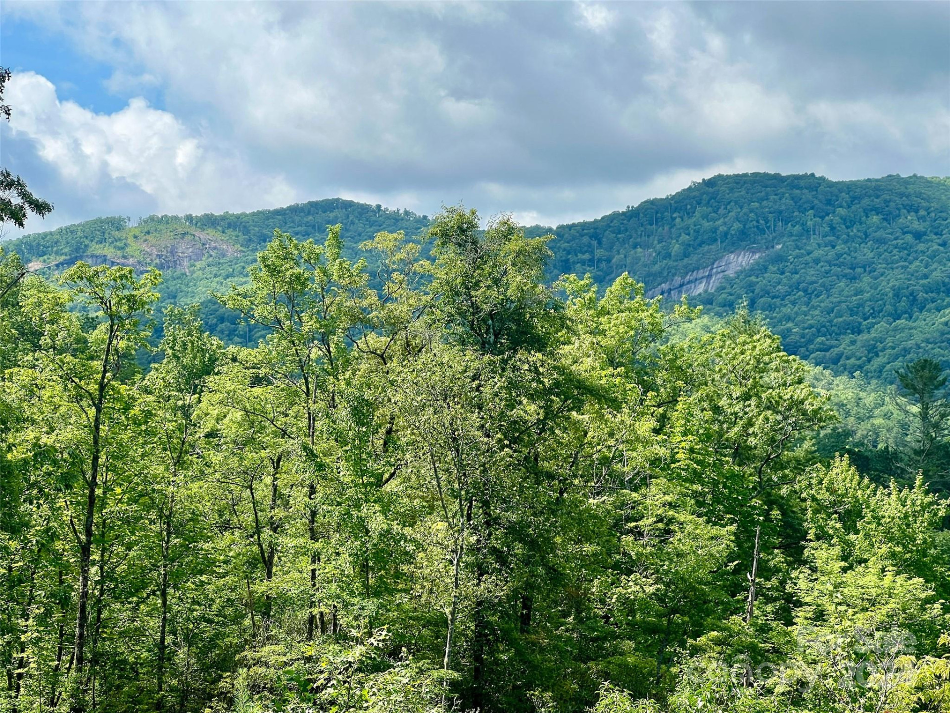 667 Laurel Thicket Lane - Photo 24