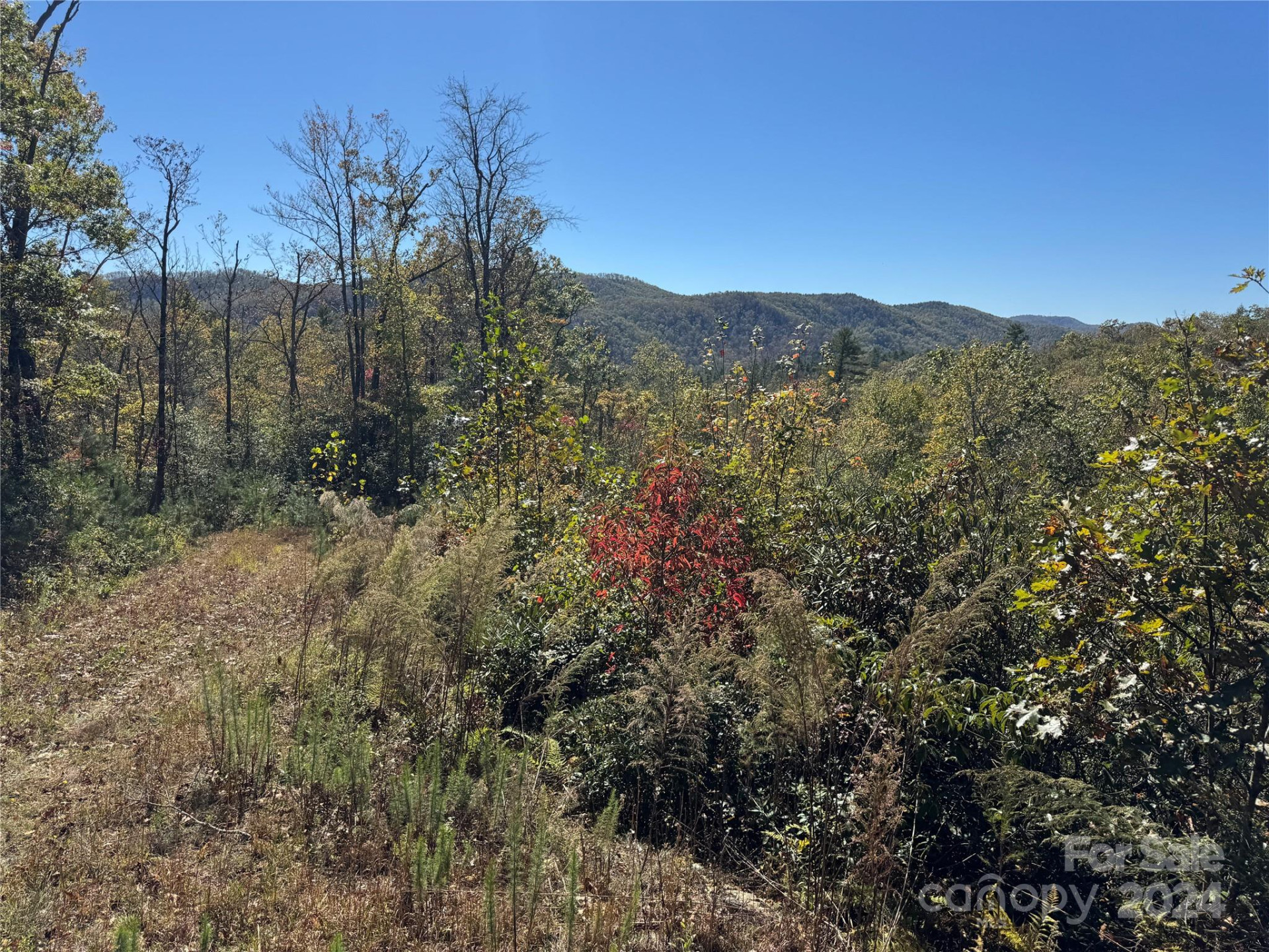 667 Laurel Thicket Lane - Photo 26