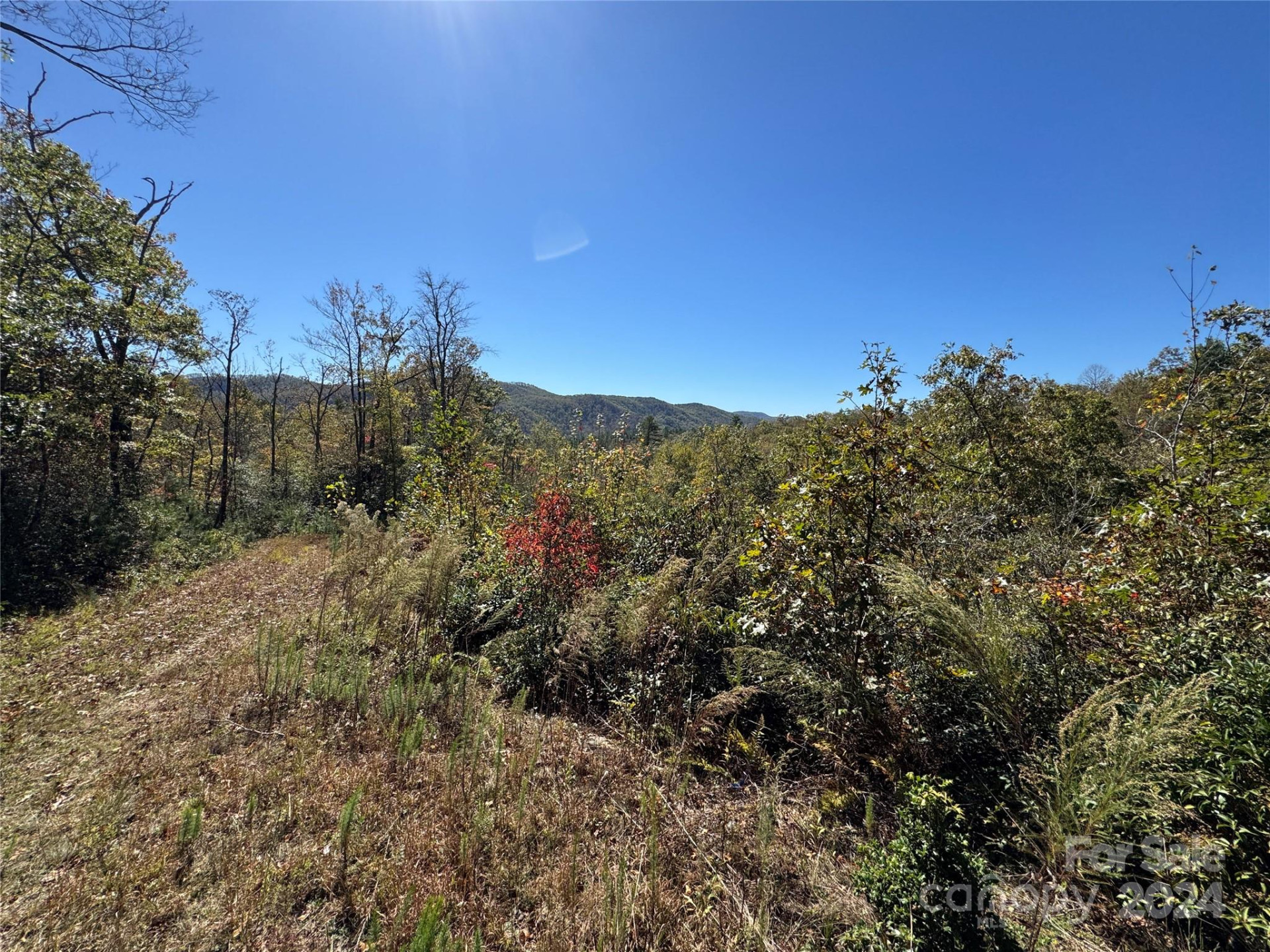 667 Laurel Thicket Lane - Photo 27