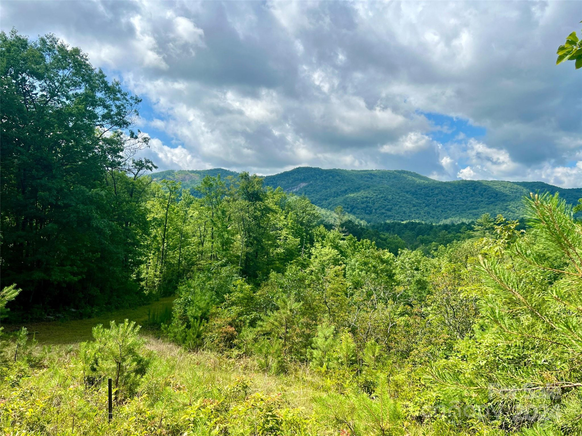 667 Laurel Thicket Lane - Photo 5