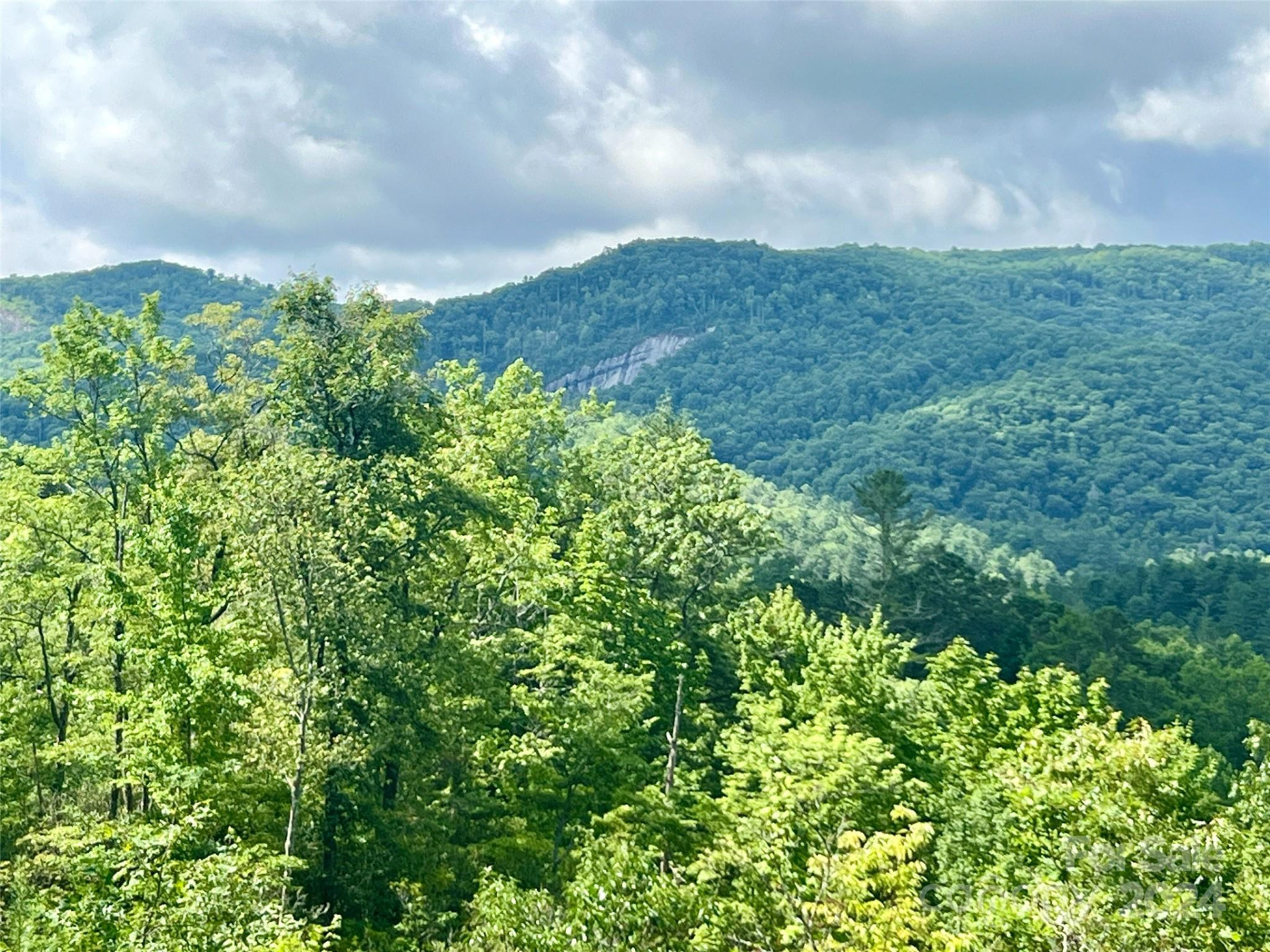 667 Laurel Thicket Lane - Photo 6