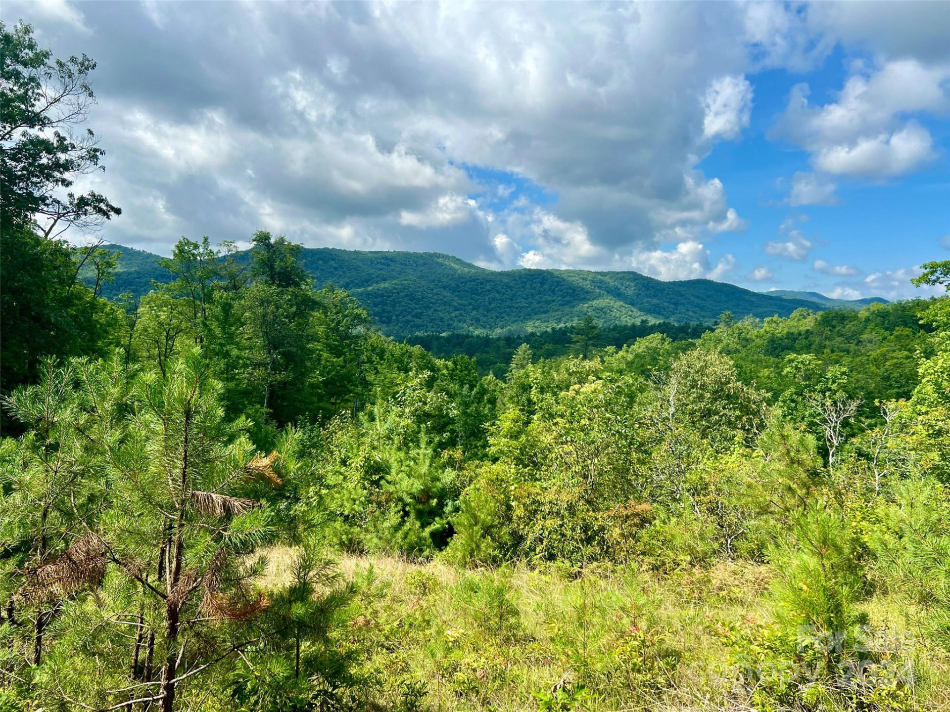 667 Laurel Thicket Lane - Photo 7