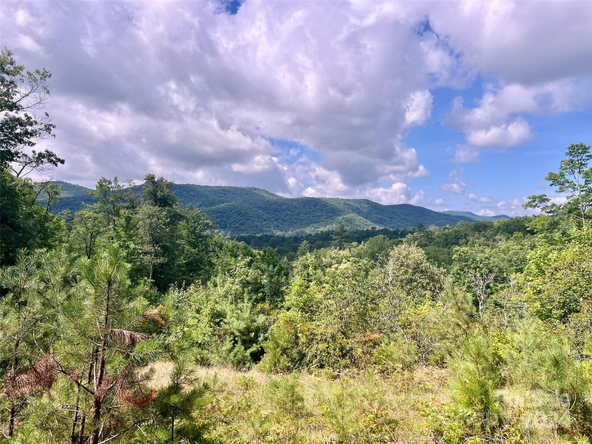 667 Laurel Thicket Lane - Photo 8