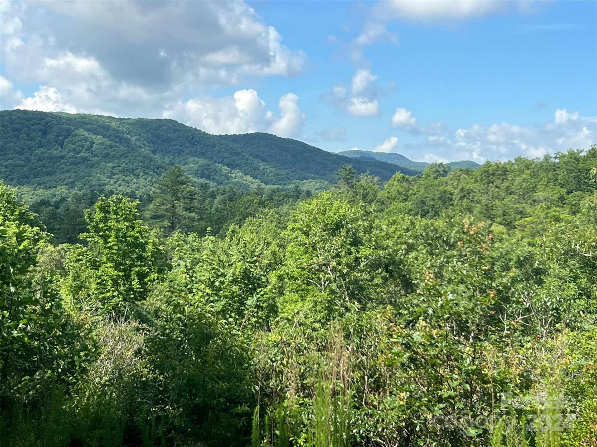 667 Laurel Thicket Lane - Photo 9