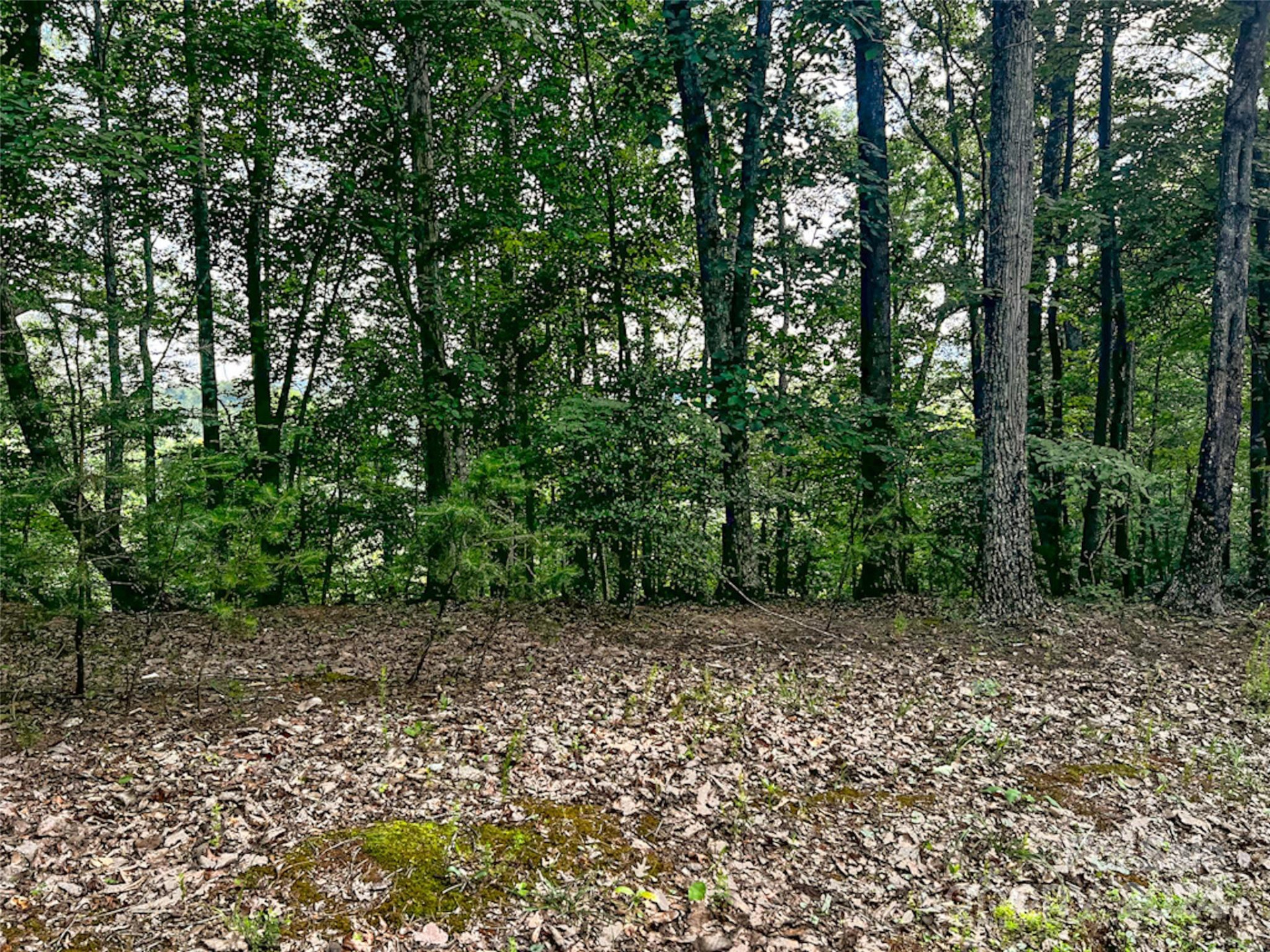 00 Whitney Boulevard #Lot 124 - Photo 2