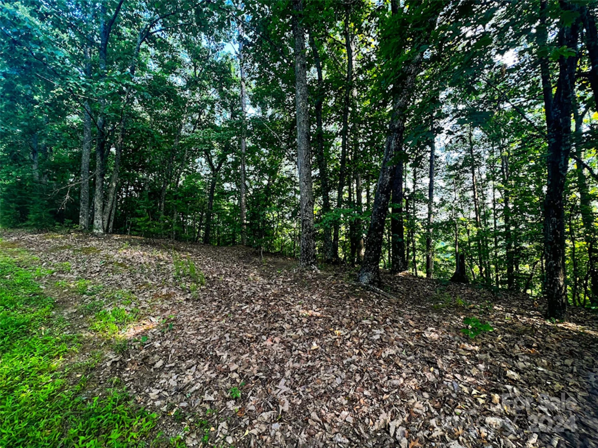 00 Whitney Boulevard #Lot 124 - Photo 3