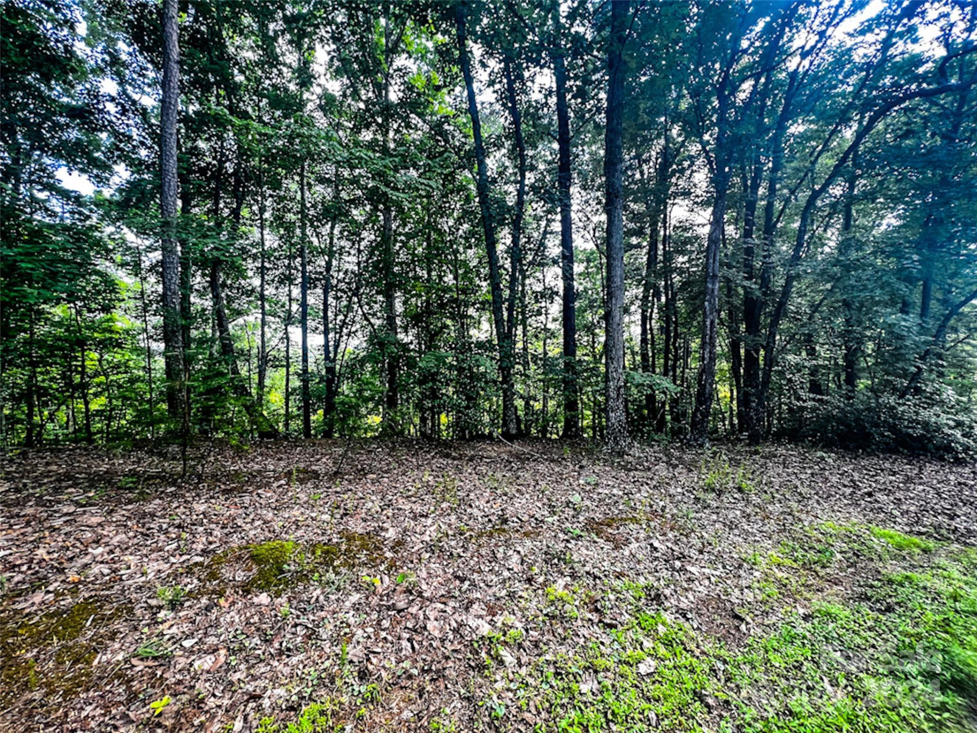 00 Whitney Boulevard #Lot 124 - Photo 5