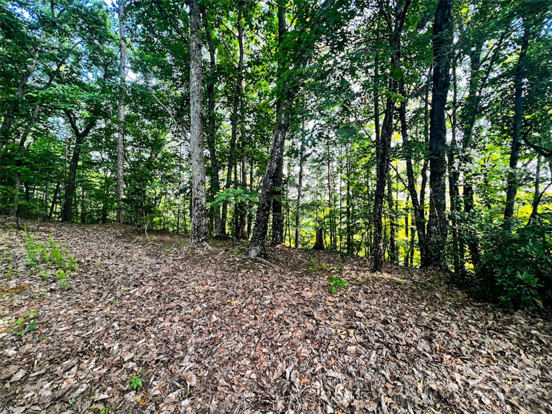 00 Whitney Boulevard #Lot 124 - Photo 6