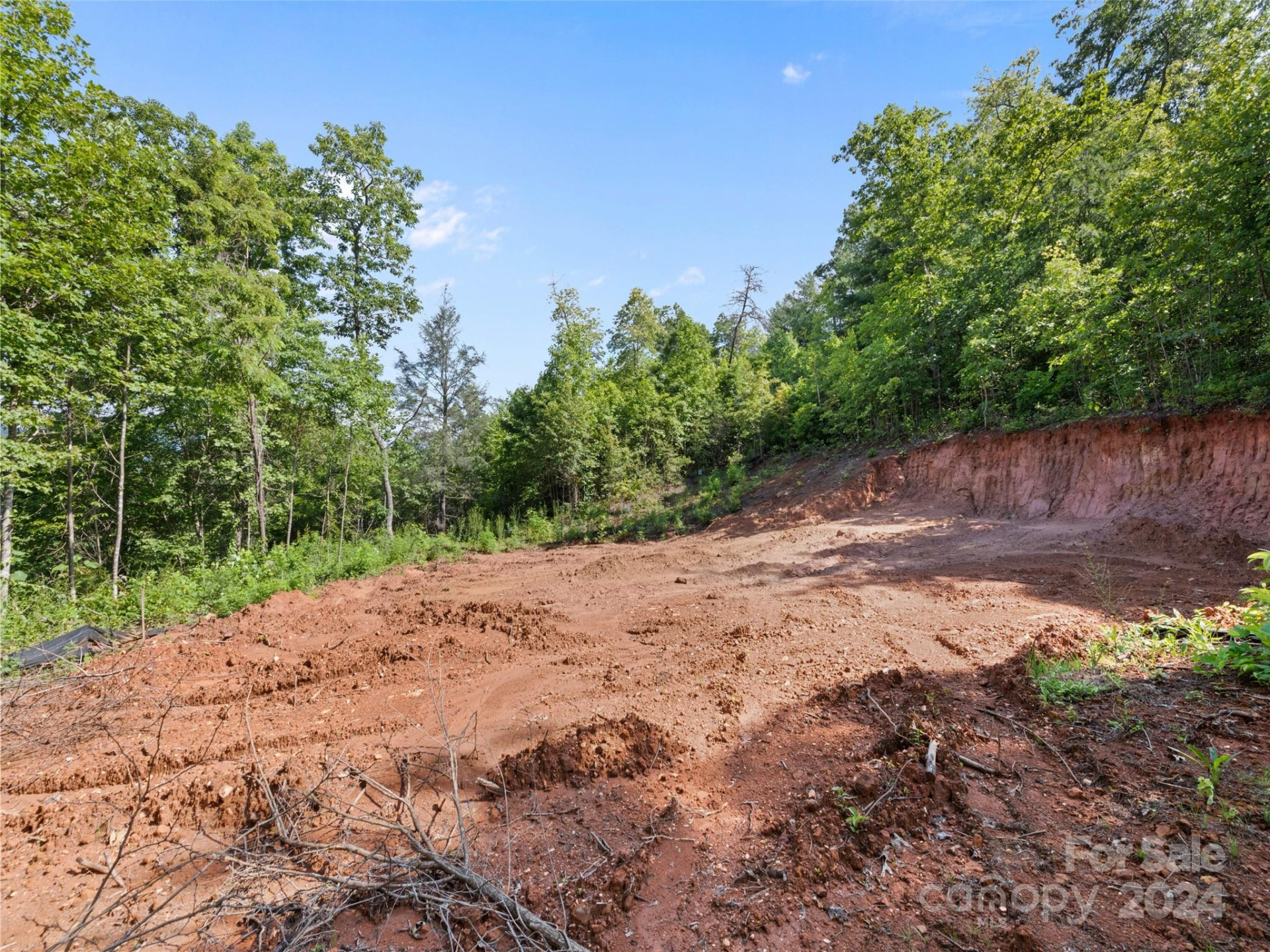 00 Ashe Loop Road - Photo 11