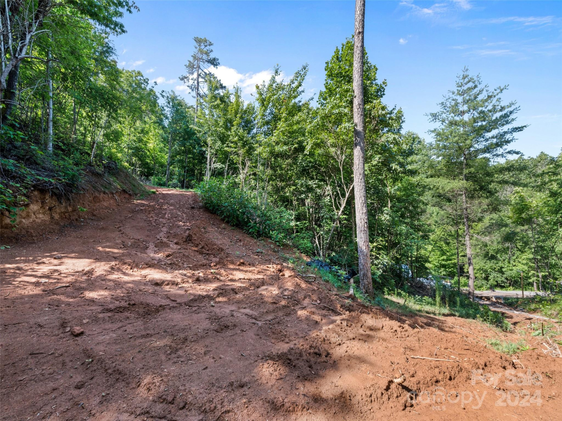 00 Ashe Loop Road - Photo 12