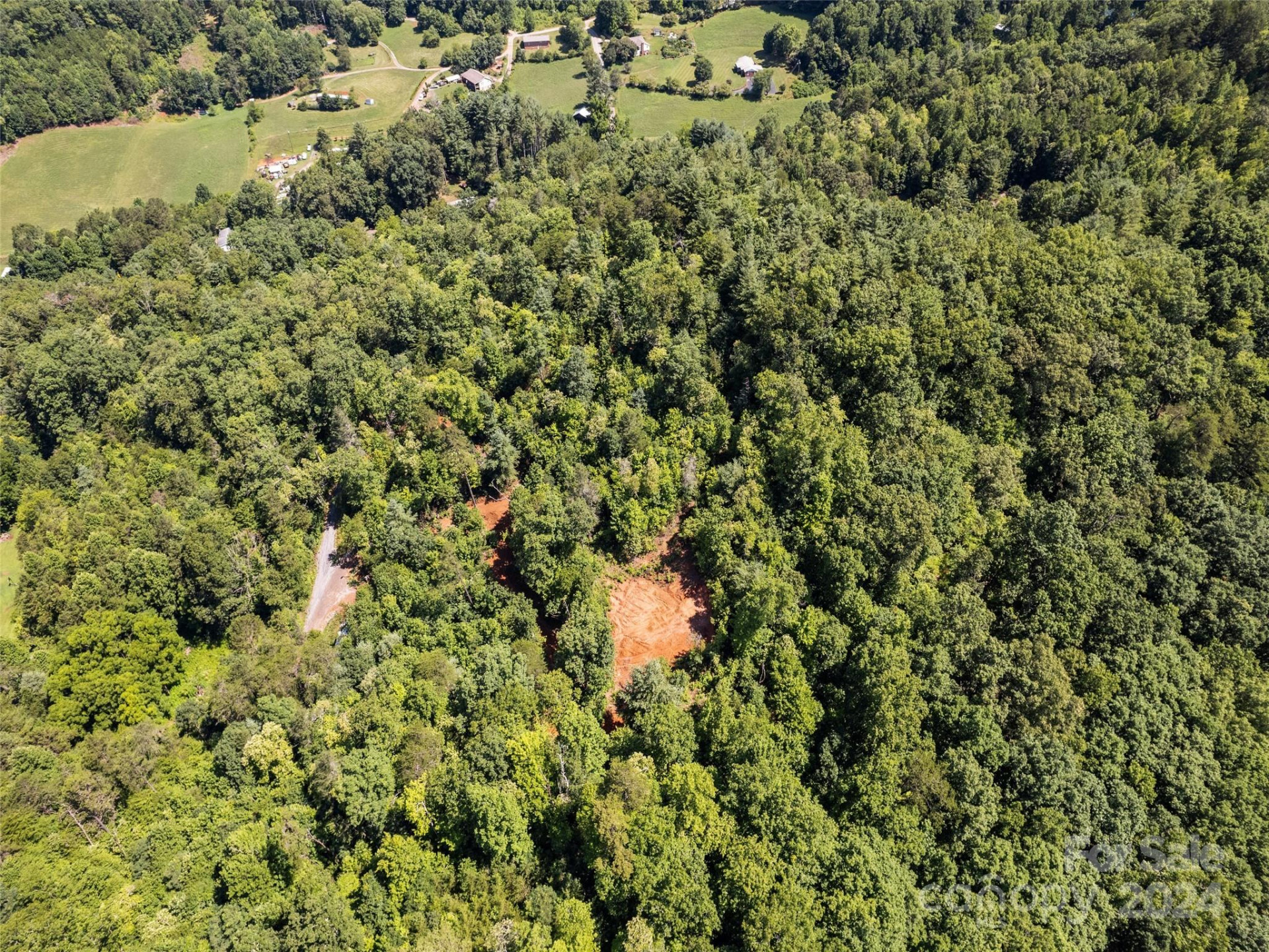 00 Ashe Loop Road - Photo 16