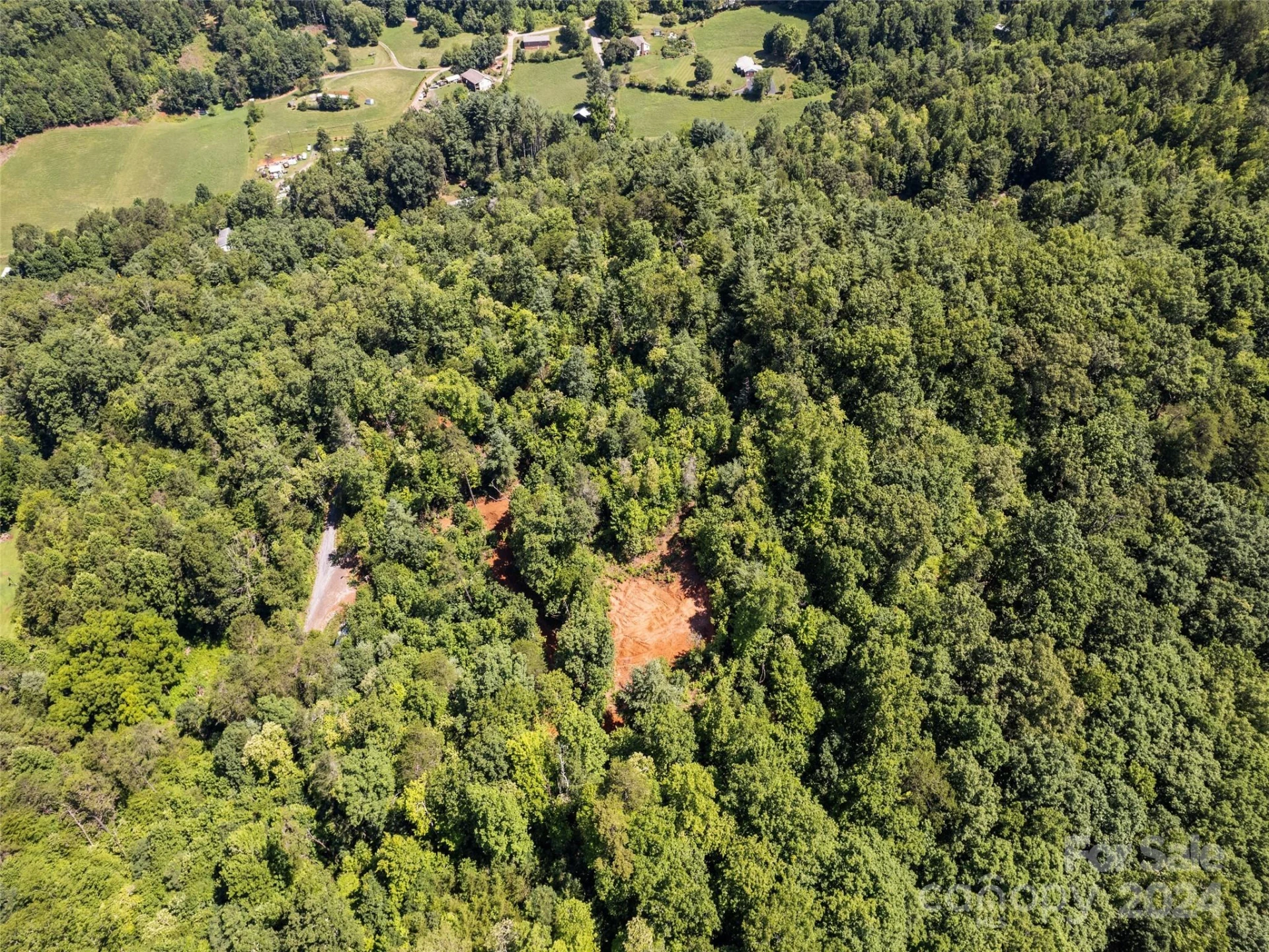 00 Ashe Loop Road - Photo 16
