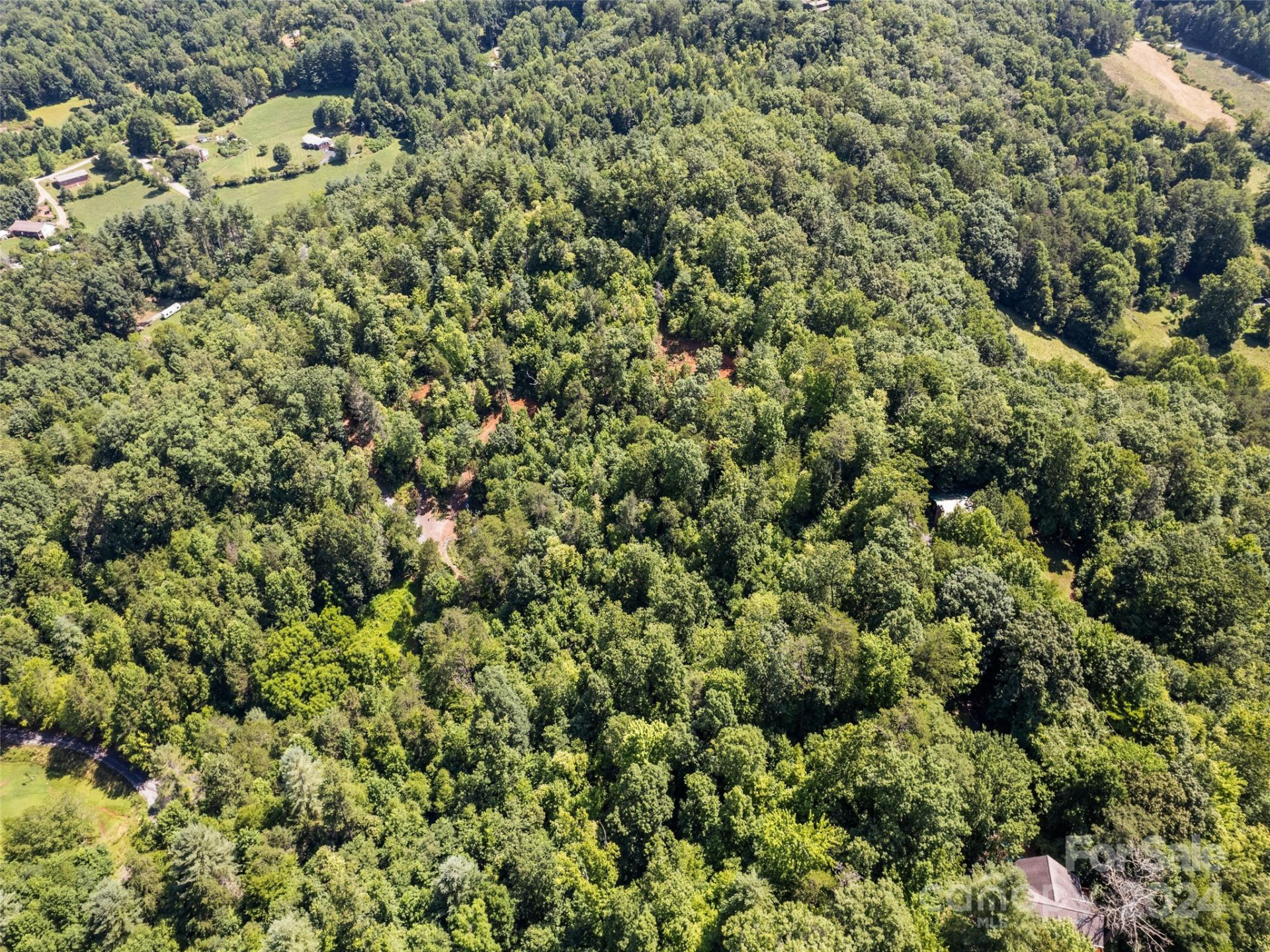 00 Ashe Loop Road - Photo 17