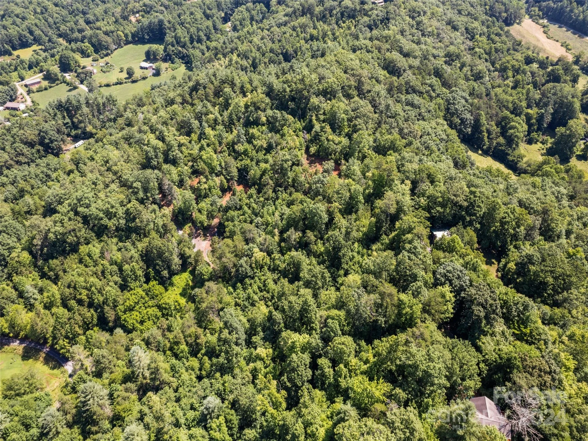 00 Ashe Loop Road - Photo 17
