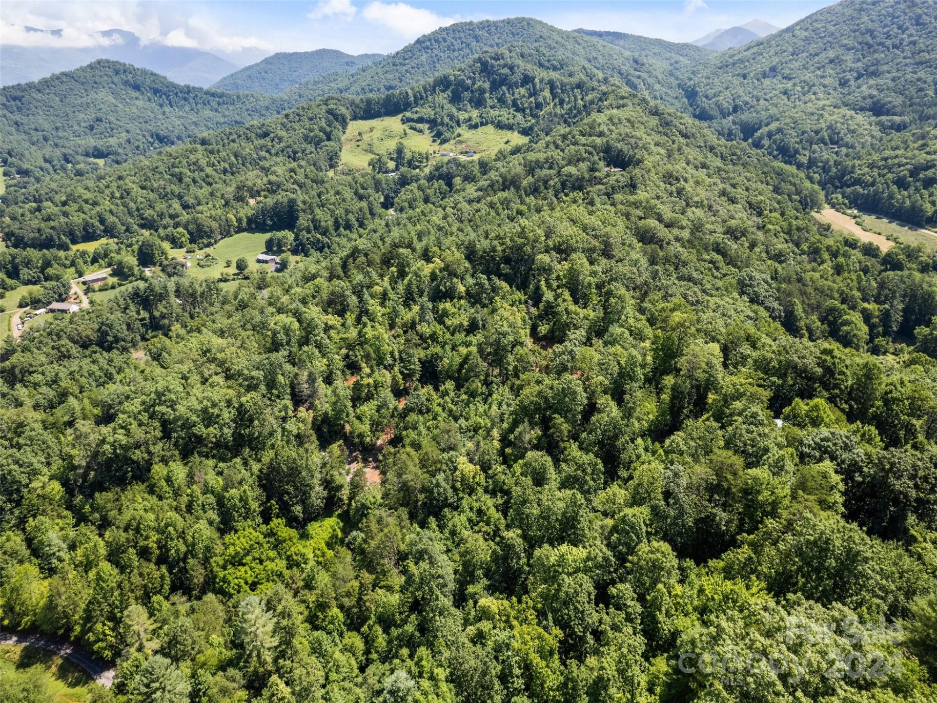 00 Ashe Loop Road - Photo 18