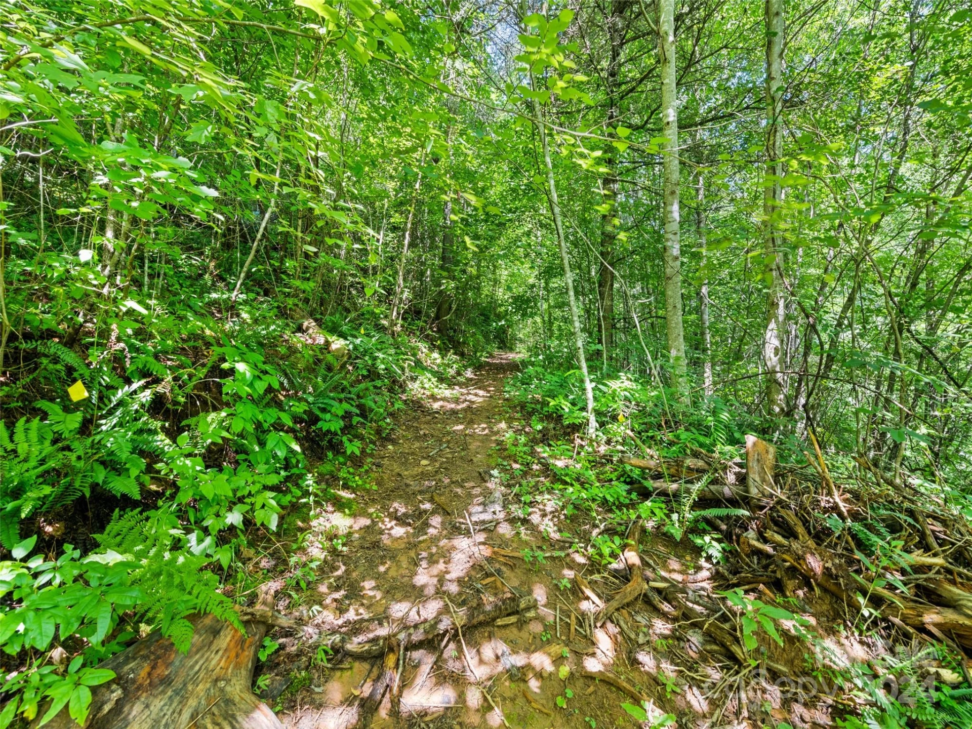 00 Ashe Loop Road - Photo 3