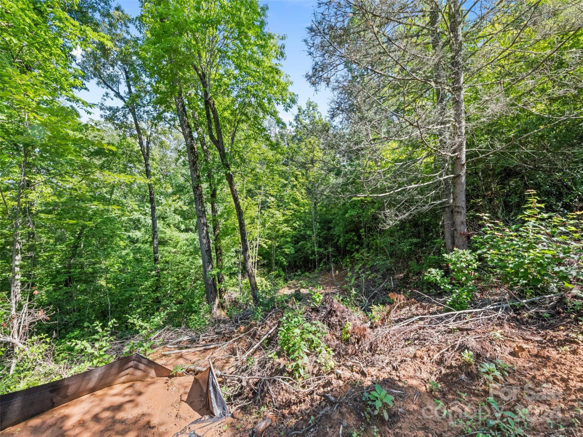 00 Ashe Loop Road - Photo 4