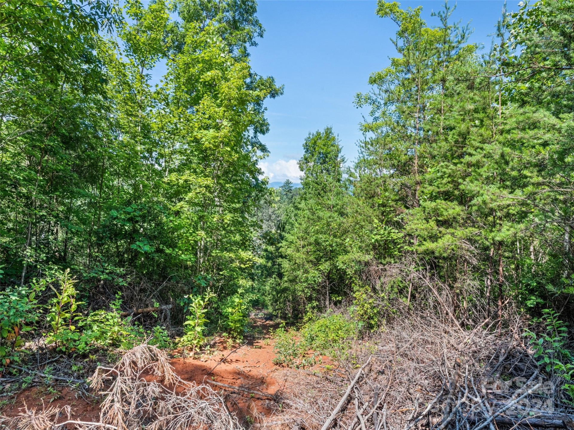 00 Ashe Loop Road - Photo 5