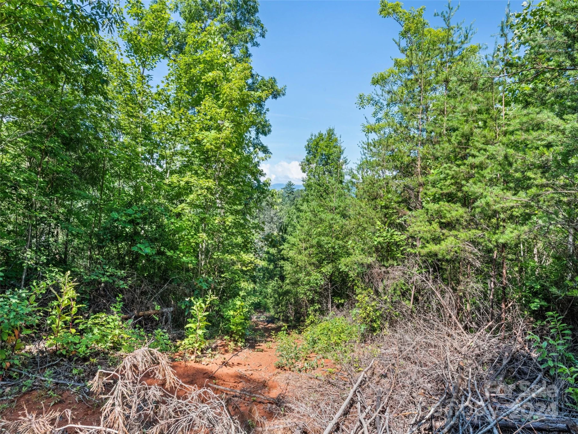 00 Ashe Loop Road - Photo 5